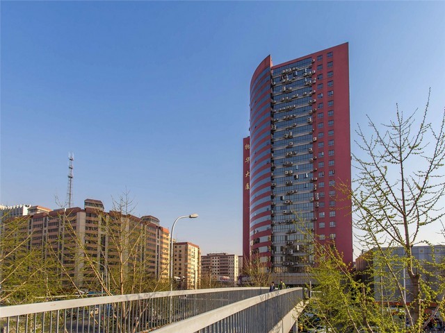 辽宁冻干奶酪生产线设备